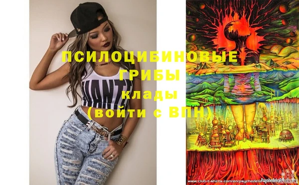 прущие грибы Баксан
