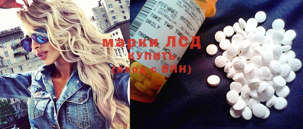 прущие грибы Баксан