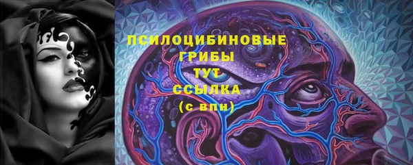 прущие грибы Баксан