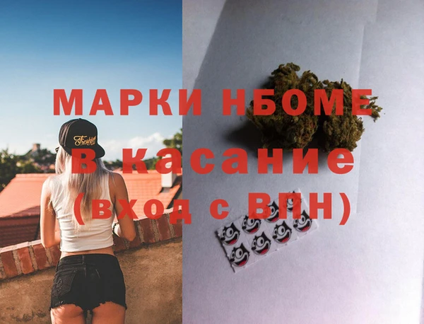 прущие грибы Баксан