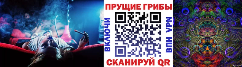 Галлюциногенные грибы Cubensis  Купить  Сланцы 